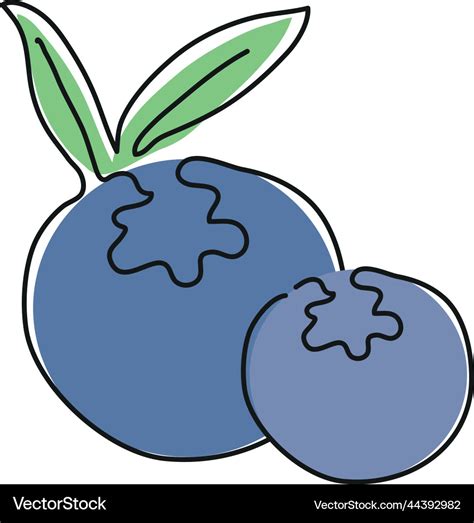 Blueberry fruit line drawing Royalty Free Vector Image