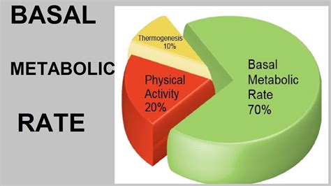 Metabolic Rate