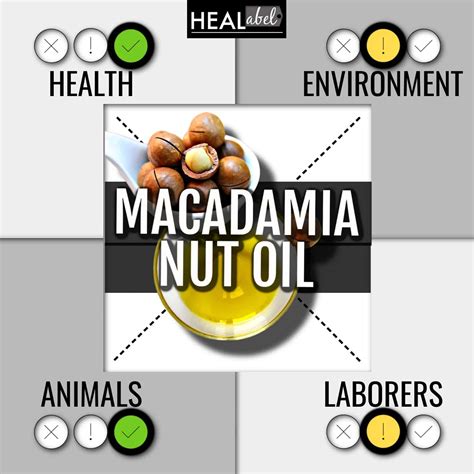 Macadamia Oil Benefits + Side Effects