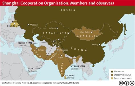 Globalization With Chinese Characteristics -- What Are The Prospects?