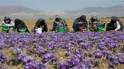 Iran's saffron traders thrive in isolation - CNN