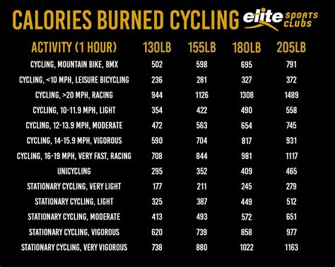 At-Home Biking Workout to Burn Calories - Elite Sports Clubs