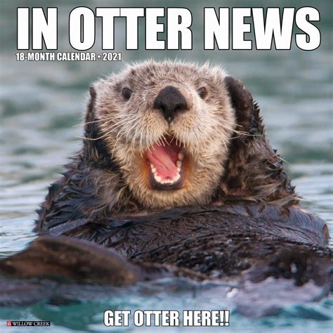 Willow Creek Press In Otter News 2021 Calendar, Large | Funny animal jokes, Animal jokes, Funny ...