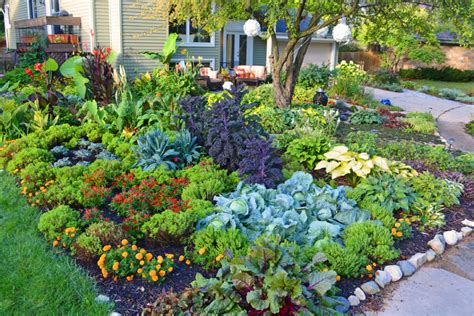 Front Lawn Vegetable Garden - How To Design - Shawna Coronado