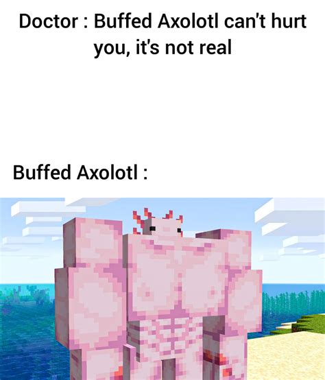 Clean Minecraft Axolotl Memes - Read online books for free new release ...