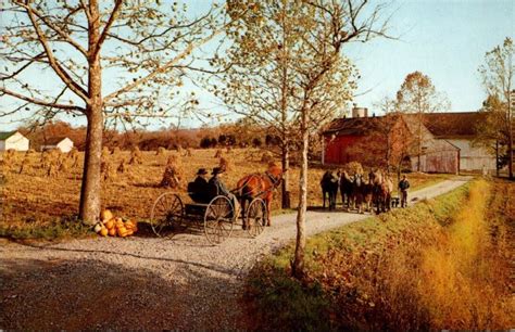 Pennsylvania Heart Of Dutchland Old Order Amish & Mennonites In Horse and Bug... | United States ...