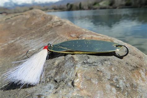 The 10 Best Trout Lures for Rivers and Streams – Tilt Fishing