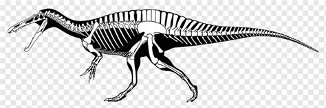 Baryonyx Skull