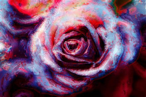 Abstract Rose 1 by AStoKo on DeviantArt