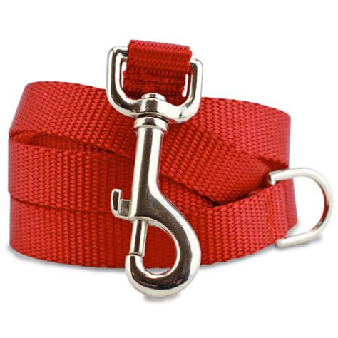 Red Nylon Dog Leash