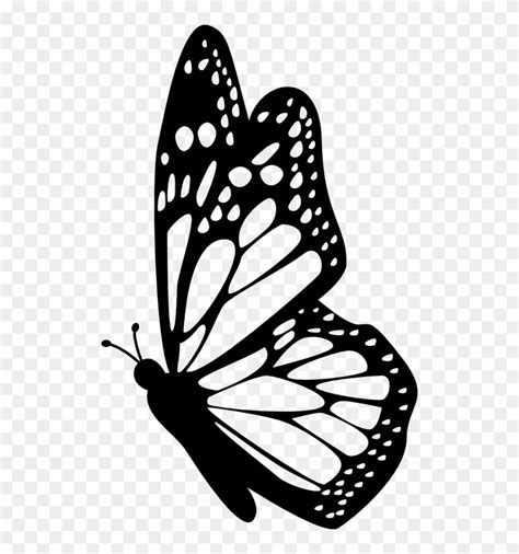 Profile Clipart Butterfly Pencil And In Color Profile - Butterfly ...