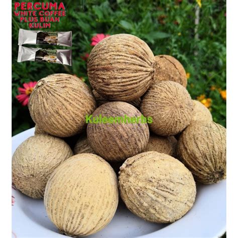 Buah kulim segar 1kg.@ bawang hutan @jungle garlic SAIZ BESAR. | Shopee Malaysia