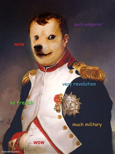 Short Note On Le Napoleon Bonaparte 📜 | Napoleon, Doge much wow, Doge