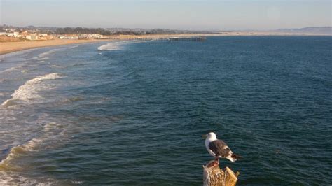 19 Beautiful Beaches In Monterey You Should Visit