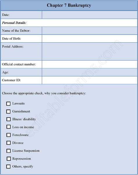 Chapter 7 Bankruptcy Fillable PDF Form | Editable PDF Forms