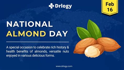 National Almond Day February 16, 2024: History & Importance - Drlogy