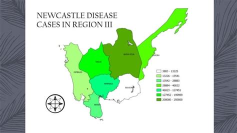 Newcastle disease outbreak in region III by Dr E Lapuz