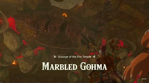 How To Defeat Marbled Gohma Boss In Zelda: TotK