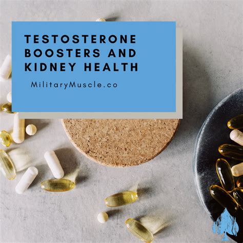 Can Testosterone Boosters Harm Your Kidneys? Here's What Science Says – Military Muscle Tactical ...