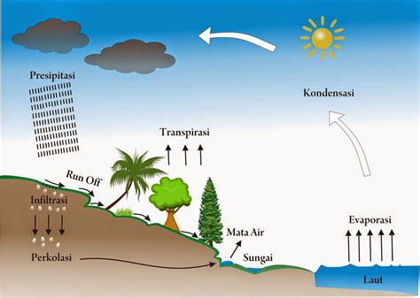 Siklus Hidrologi Pengertian Proses Dan Gambar Siklus Air Salamadian - Riset