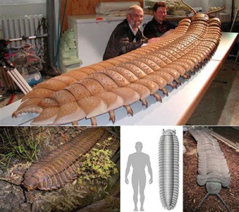 Prehistoric, Millipede, Extinct animals