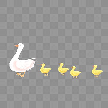 A Mother Duck And Her Ducklings Protect Little Feather Vector, Protect, Little, Feather PNG and ...