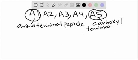 ⏩SOLVED:Suppose that you have a proteinsynthesis system that is… | Numerade