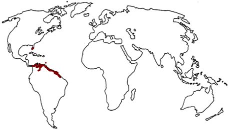 File:Scarlet Ibis range map.png - Wikimedia Commons