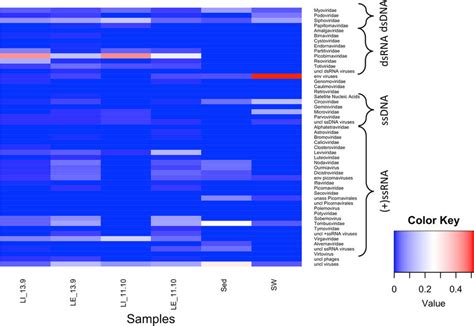 Heatmap of viral richness at the family level per sample. Heatmap... | Download Scientific Diagram