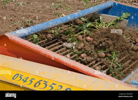 Potato harvesting machine hi-res stock photography and images - Alamy