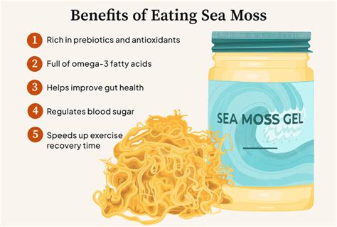 Why You Should Be Eating More Sea Moss