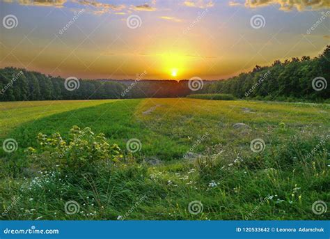 A Charming Sunset Above the Forest that Framed the Field Stock Photo ...