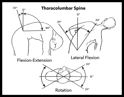 Spine Flexion Degrees