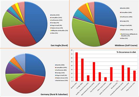 Hedgehog Weight Chart | Labb by AG