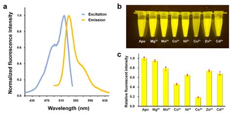 Biosensors | Free Full-Text | Spectroscopic and Structural Analysis of Cu2+-Induced Fluorescence ...