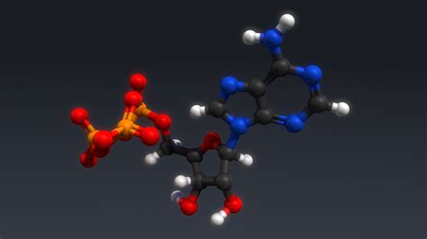 3d atp structure model