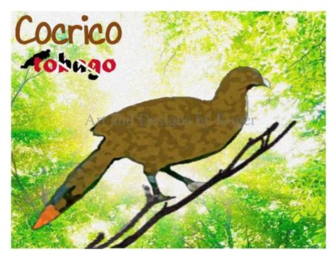 Tobago National Bird Cocrico Printable Art PNG - Etsy