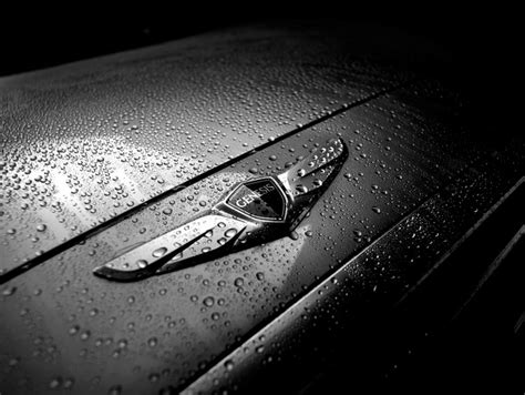 Behind the Badge: What Logo Will Hyundai Use for Its Genesis Motors ...