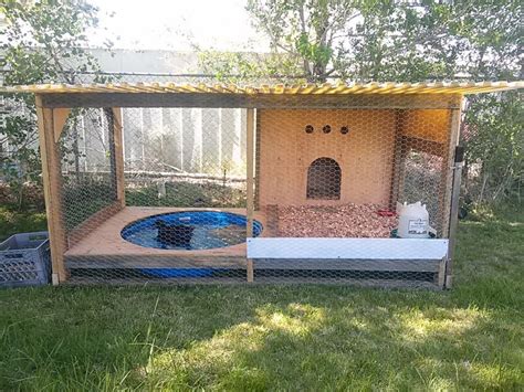 Image 55 of 80 in forum thread “Duck Houses” | Backyard ducks, Duck ...