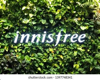 innisfree Logo Vector (.AI) Free Download