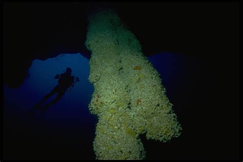 Inside the Depths of Belize's Great Blue Hole - InsideHook