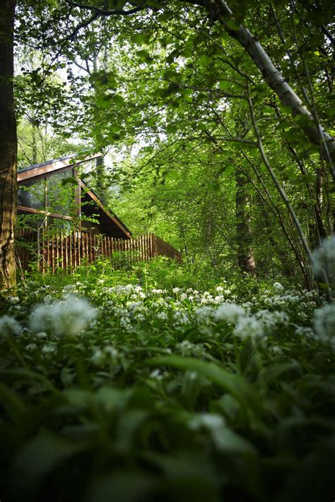 Cabins at Forest of Dean | Forest of dean, Log cabin holidays, Romantic weekend getaways