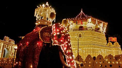 Sri Lanka: Tour highlights Kandy Esala Perahera festival - Los Angeles Times