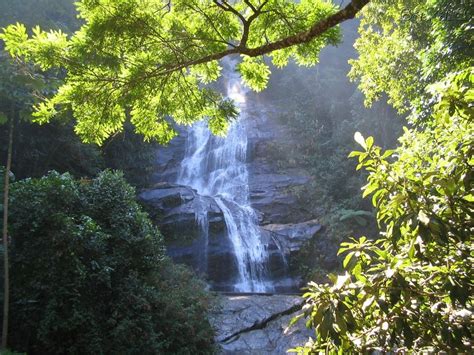 Parque Nacional de la Tijuca, Brasil, RÃ­o de Janeiro, fotos de Parque Nacional de la Tijuca en ...