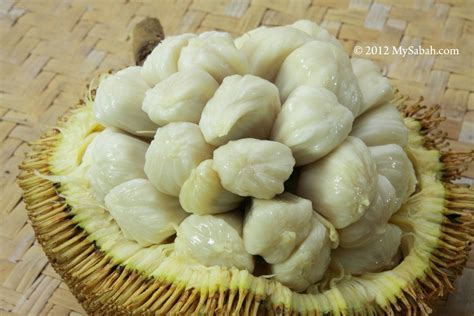 Tarap fruit of Borneo - MySabah.com