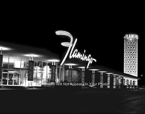 Flamingo Casino Bugsy Siegel Mobsters Las Vegas Gambling Fremont Street Photo | eBay