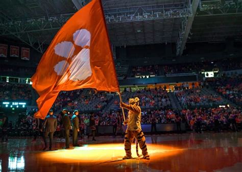 Clemson Tigers Set to Do Battle With Rival Gamecocks - Sports ...