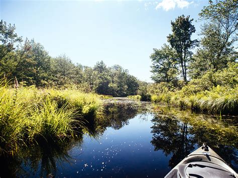 Gouldsboro State Park Map