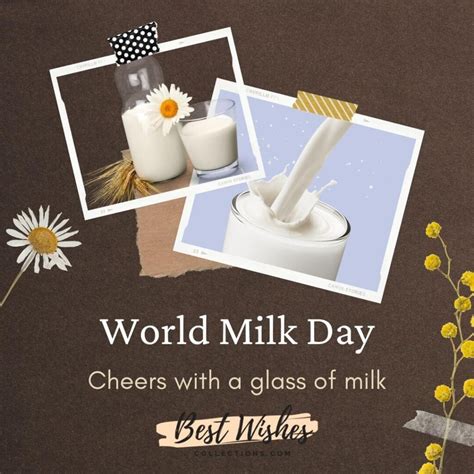 51 Best World Milk Day wishes, Quotes , Themes & Slogans