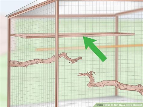 3 Ways to Set Up a Dove Habitat - wikiHow Pet